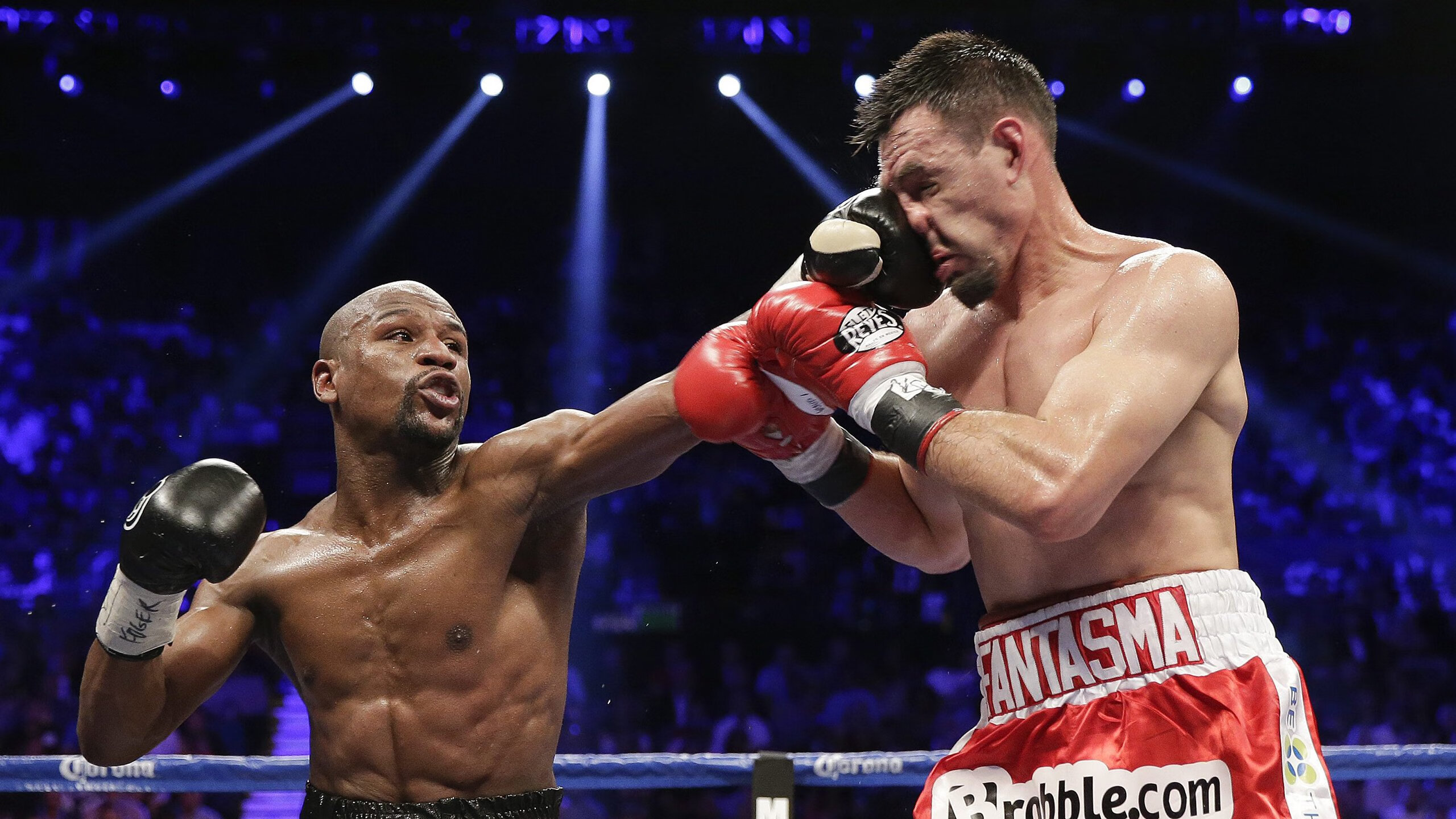 WBO与IBF联手对抗竞争，共同制定战略，wba和wbo区别