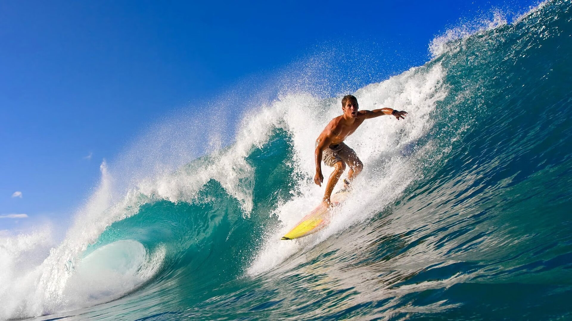 服务城市体育人口增长趋势分析的内容可视化平台，体育人口与体育城市化